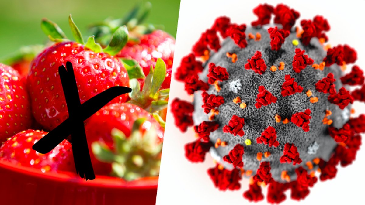 Risk-att-det-inte-blir-jordgubbar-i-sommar-pa-grund-av-coronaviruset